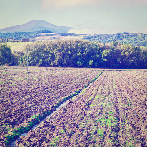 Preview: Plowed Sloping Hills Of Tuscany In The Autumn, Instagram Effect