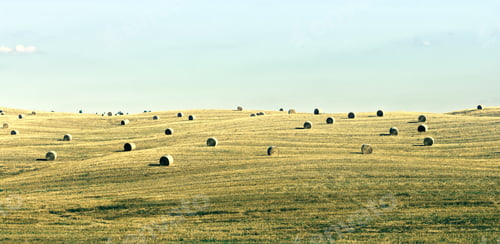 Preview: Tuscany Landscape With Many Hay Bales, Vintage Style Toned Picture