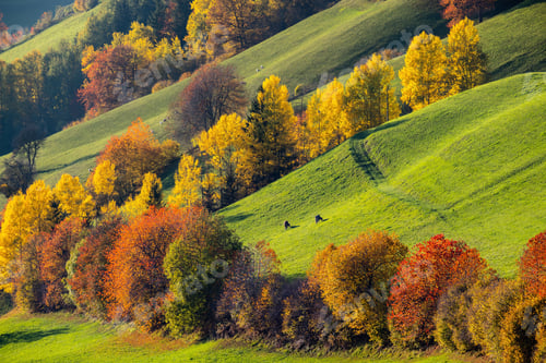 Preview: Autumn Santa Magdalena Famous Italy Dolomites Mountain Village Environs Hills. Picturesque