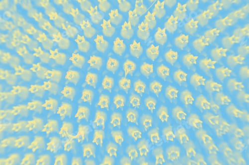 Preview: Abstract, Colorful And Funky Background Done In Macro Mode