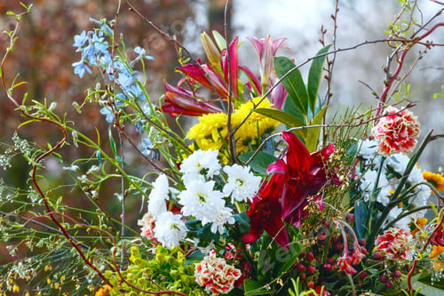 Preview: Big Spring Multicolor Wonderful Flowers Bouquet Closeup.