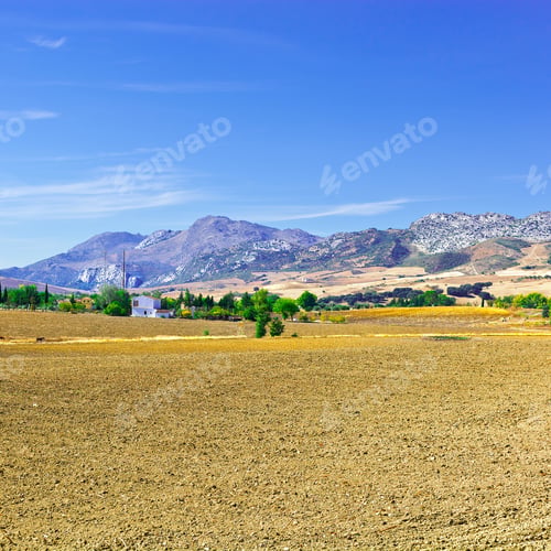 Preview: Olive Groves And Plowed Sloping Hills Of Spain In The Autumn