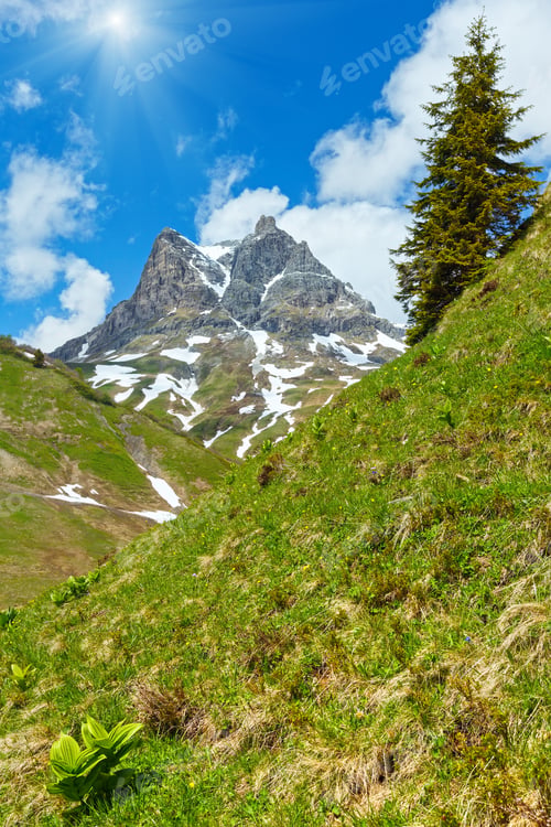Preview: Summer Widderstein Mountain View (Warth, Vorarlberg, Austria).