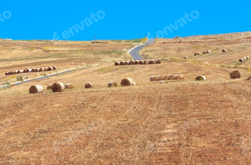 Preview: Beautiful Landscape Of Sicily Summer Countryside In Italy.