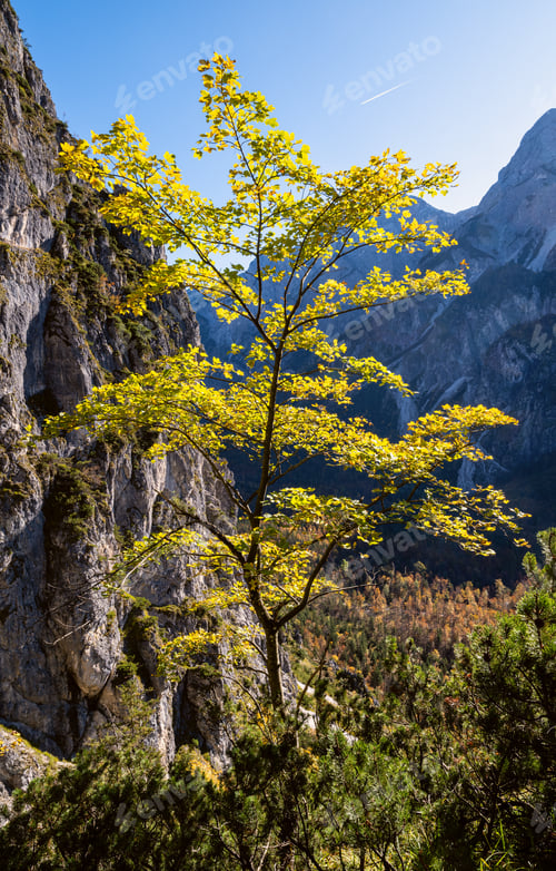 Preview: Sunny Idyllic Colorful Autumn Alpine Scene. Peaceful Rocky Mountain View From Hiking Path Near