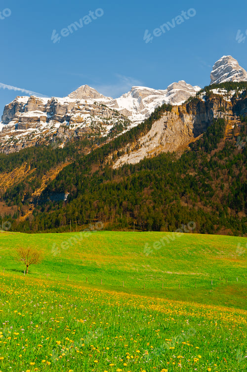 Preview: Pasture On The Background Of Snow-Capped Alps, Switzerland