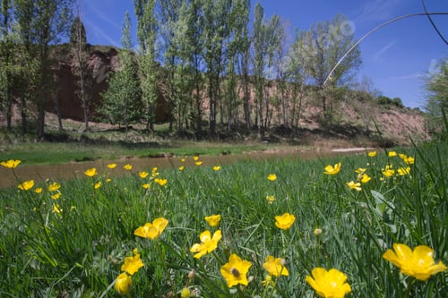 Preview: Spring In Gudar Mountains Teruel Aragon Spain