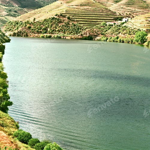 Preview: Vineyards In The Valley Of The River Douro, Portugal, Vintage Style Toned Picture