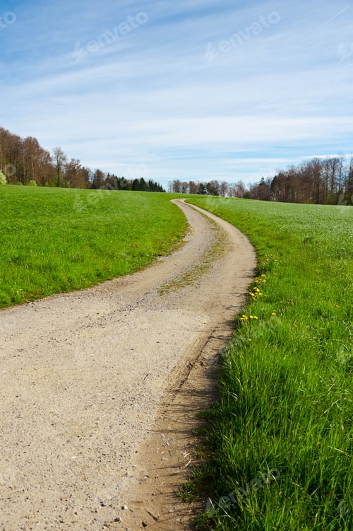 Preview: Dirt Road Leading To The Farmhouse In The Swiss Alps