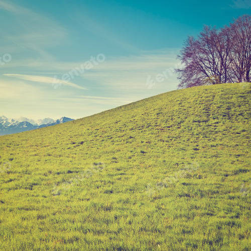 Preview: Pasture On The Background Of Snow-Capped Alps In Switzerland, Retro Effect