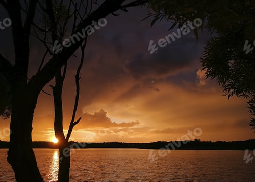 Preview: Amazing Sunset By The Lake. Silhouette Tree In Front, Sun Going Down In The Background. Glowing Sky