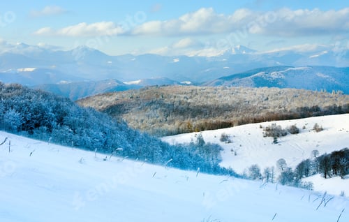 Preview: October Mountain Beech Forest Edge With First Winter Snow And Last Autumn Colorful Foliage On Far