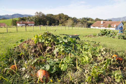 Preview: Ainhoa Is One Of The Most Beautiful Villages Of France. This Is An Ancient Basque Town. Pumpkins
