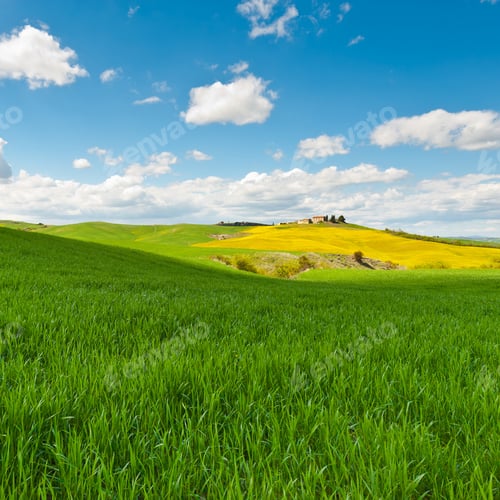Preview: Farmhouse And Green Sloping Meadows Of Tuscany