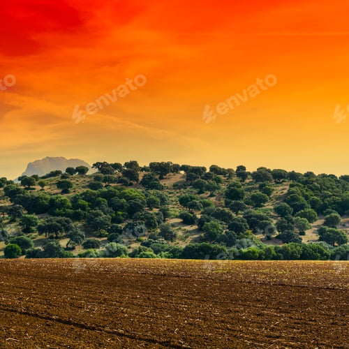 Preview: Fields In Spain After Harvesting At Sunrise. Breathtaking Landscape And Nature Of The Iberian
