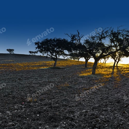 Preview: Sloping Hills Of Portugal In The Autumn At Sunset