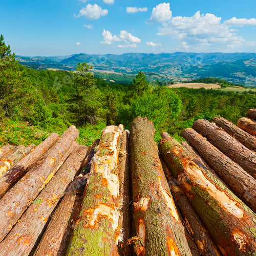 Preview: Sawed Firewood Dropped In A Pile On The Background Of Italy Landscape