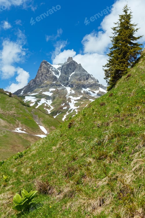 Preview: Summer Widderstein Mountain View (Warth, Vorarlberg, Austria).