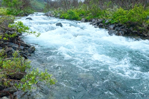 Preview: A River In Norway. Summer Landscape.