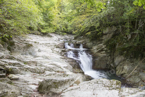 Preview: Autumn Forest Selva De Irati Fall Beech Jungle In Navarre Pyrenees Of Spain