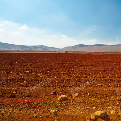 Preview: Poor Stony Soil After The Harvest In Israel