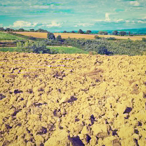 Preview: Agricultural Land with Fields and Distant Hills