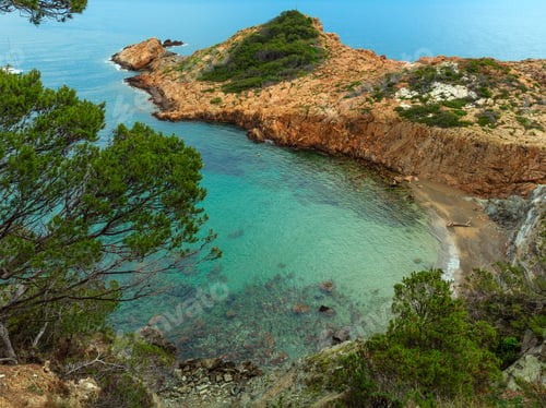 Preview: Sea Bay Summer View With Conifer Trees In Front. Costa Brava, Catalonia, Spain.