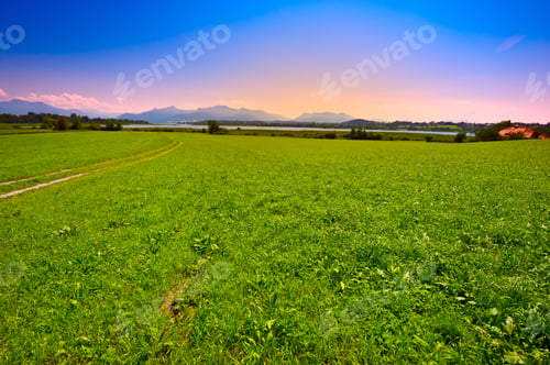 Preview: Meadow Near Bavarian Lake Chiemsee, Sunset