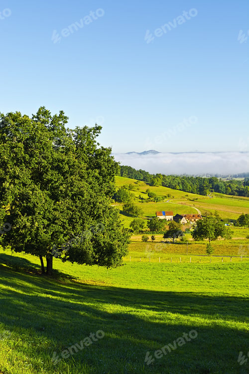 Preview: Small French Village In The Morning Mist