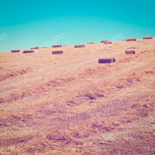 Preview: Landscape Of Sicily With Many Hay Briquettes, Retro Effect