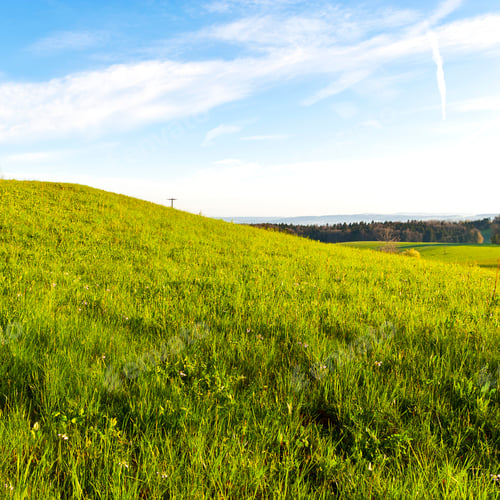 Preview: Swiss Landscape With Forests And Meadow Early In The Morning. Agriculture In Switzerland, Arable