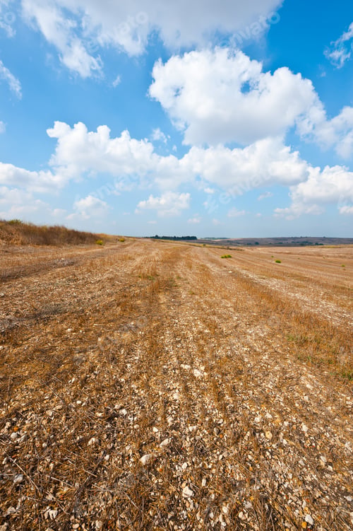 Preview: Poor Stony Soil After The Harvest In Israel