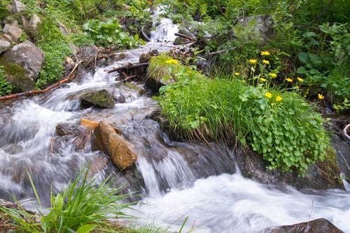 Preview: Summer Mountain Waterfall Among Vegetation