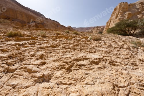 Preview: Canyon In The Judean Desert On The West Bank
