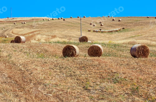 Preview: Beautiful Landscape Of Sicily Summer Countryside In Italy.