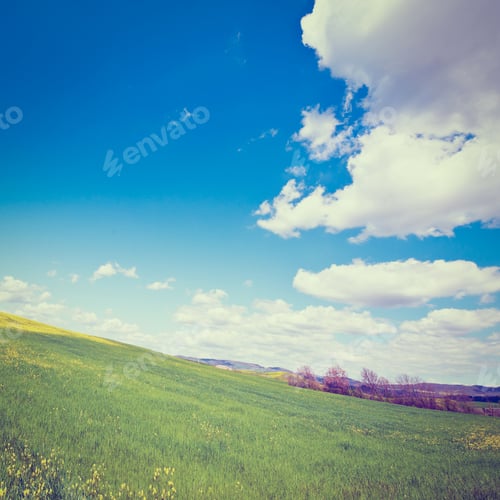 Preview: Green Sloping Meadows Of Tuscany, Instagram Effect