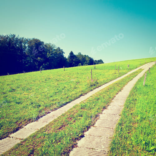 Preview: Pasture In Southern Bavaria, Germany, Instagram Effect