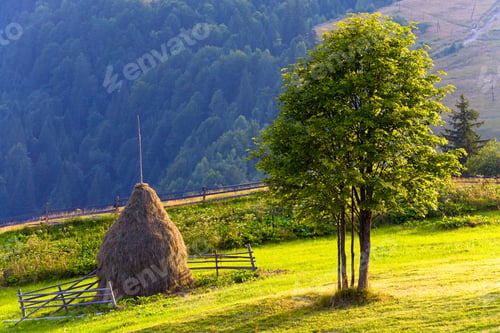 Preview: Summer Mountain Landscape With Haystack And Lonely Tree