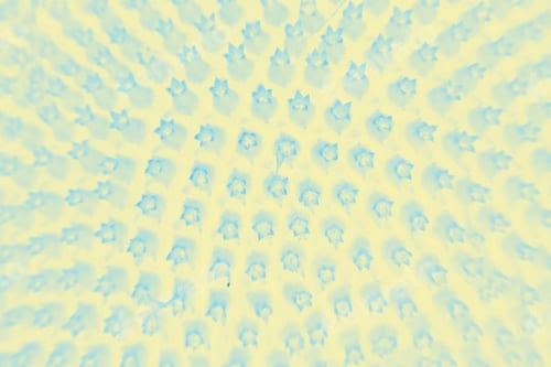 Preview: Abstract, Colorful And Funky Background Done In Macro Mode