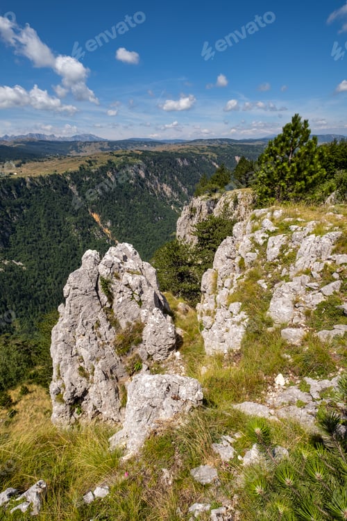 Preview: Picturesque Summer Mountain Landscape Of Tara Canyon In Mountain Durmitor National Park