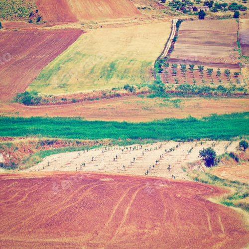 Preview: Stubble Fields On The Hills Of Sicily, Retro Effect
