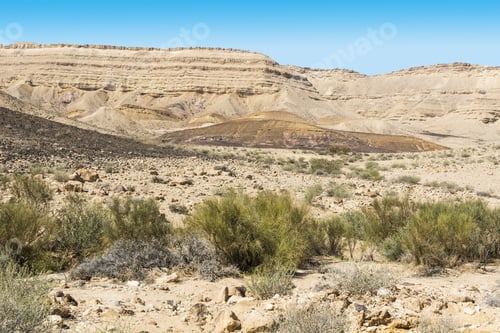 Preview: Rocky Hills Of The Negev Desert In Israel. Breathtaking Landscape Of The Desert Rock Formations In