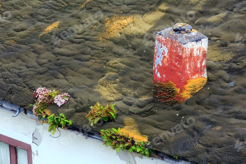 Preview: Old Obsolete House Roof With Moss And Flowers In Luarca Town, Asturias, Spain.