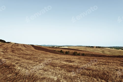 Preview: Stubble Fields On The Hills Of Tuscany. Tuscany Landscape After Harvest. Vintage Style Toned Picture