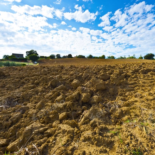 Preview: Plowed Fields Of Tuscany In The Autumn