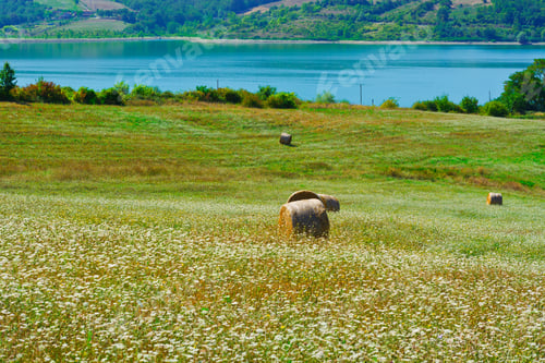 Preview: Lake Bilancino On The Background Of Italian Alps