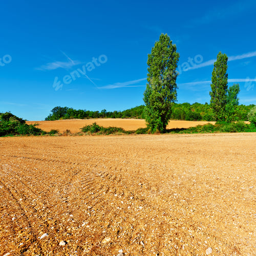 Preview: Plowed Sloping Fields Of France In The Autumn