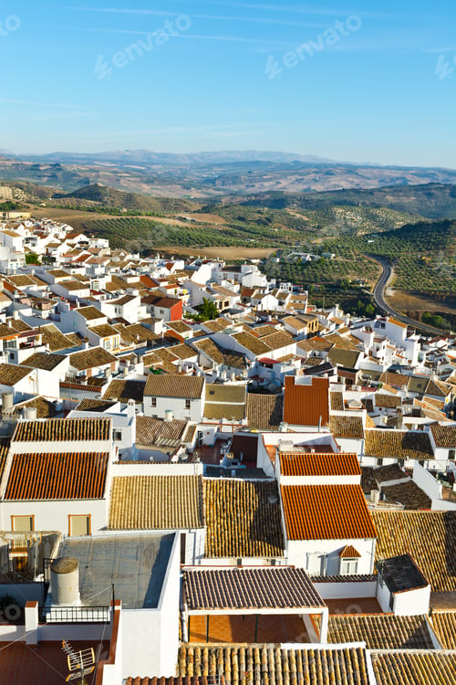 Preview: Bird'S Eye View On The Red Tiles Of The Spanish Town