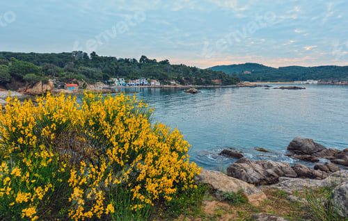 Preview: Summer Morning Sea Coast Landscape And Blossoming Bush With Yellow Flowers In Front (Girona, Costa