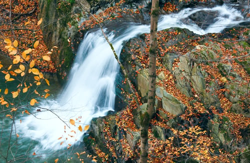 Preview: Waterfalls On Rocky Stream, Running Through Autumn Mountain Forest